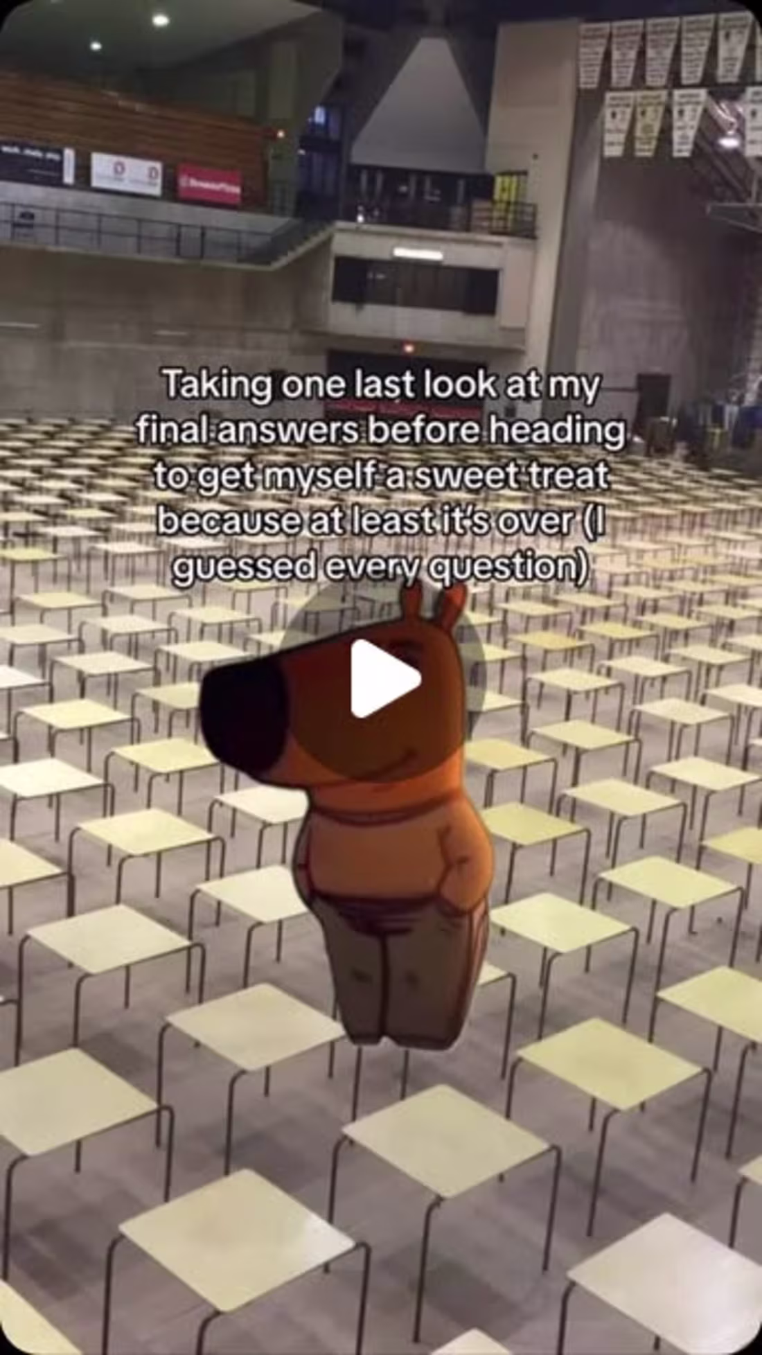 Cover image for Viral Social Media Campaign for bouncelifewaterloo