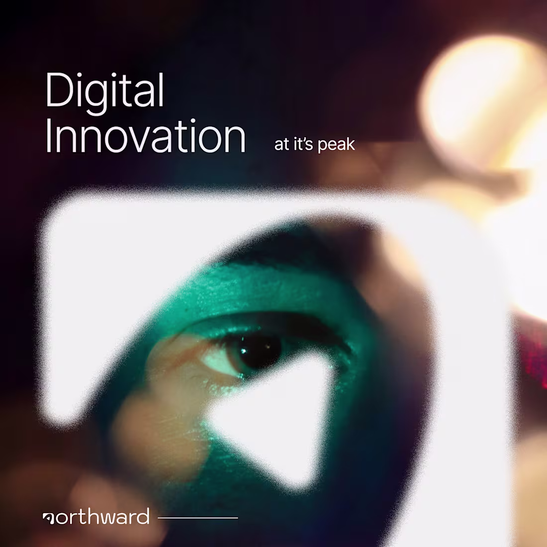 Cover image for Northward Brand Identity