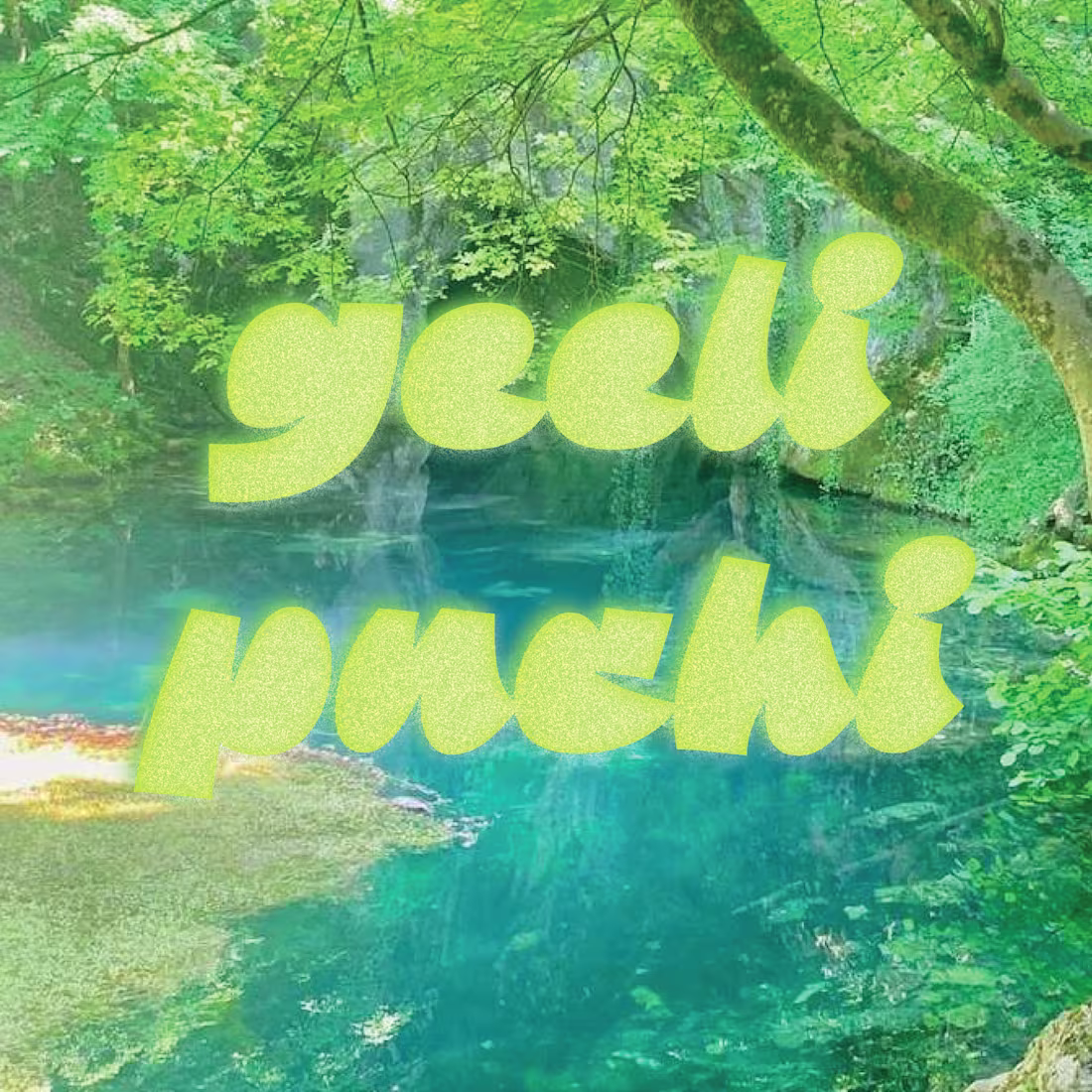 Cover image for Typographic Branding