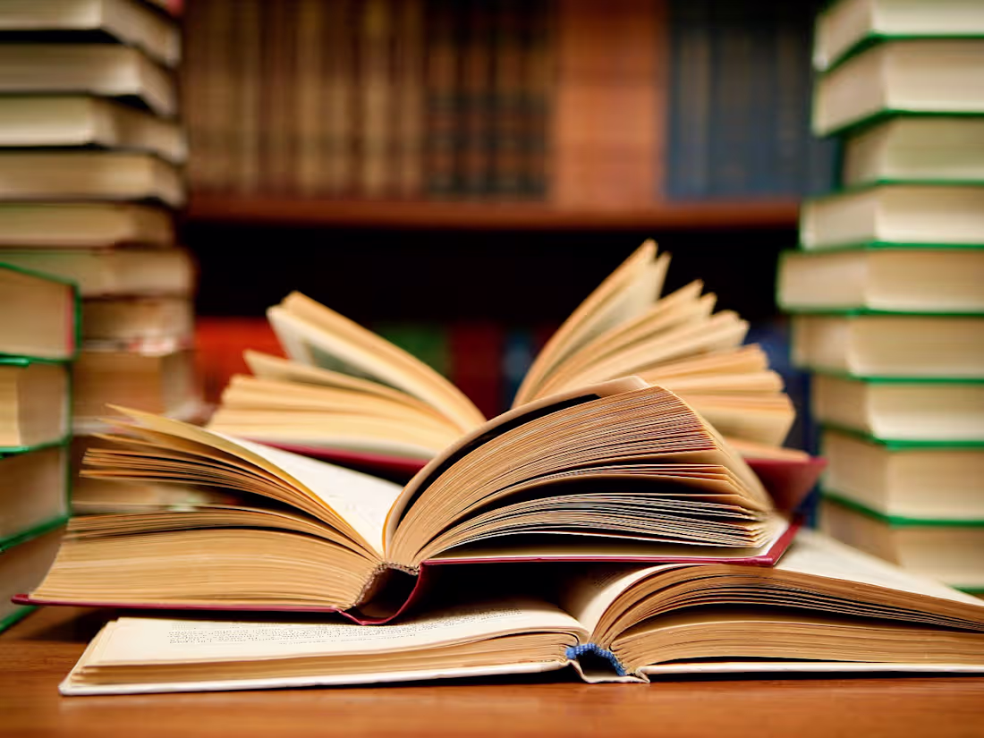 Cover image for LITERATURE WORK