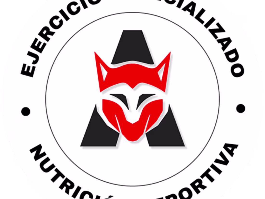 Cover image for PWA for internal workings of specialized gym Moviemiento Alpha.