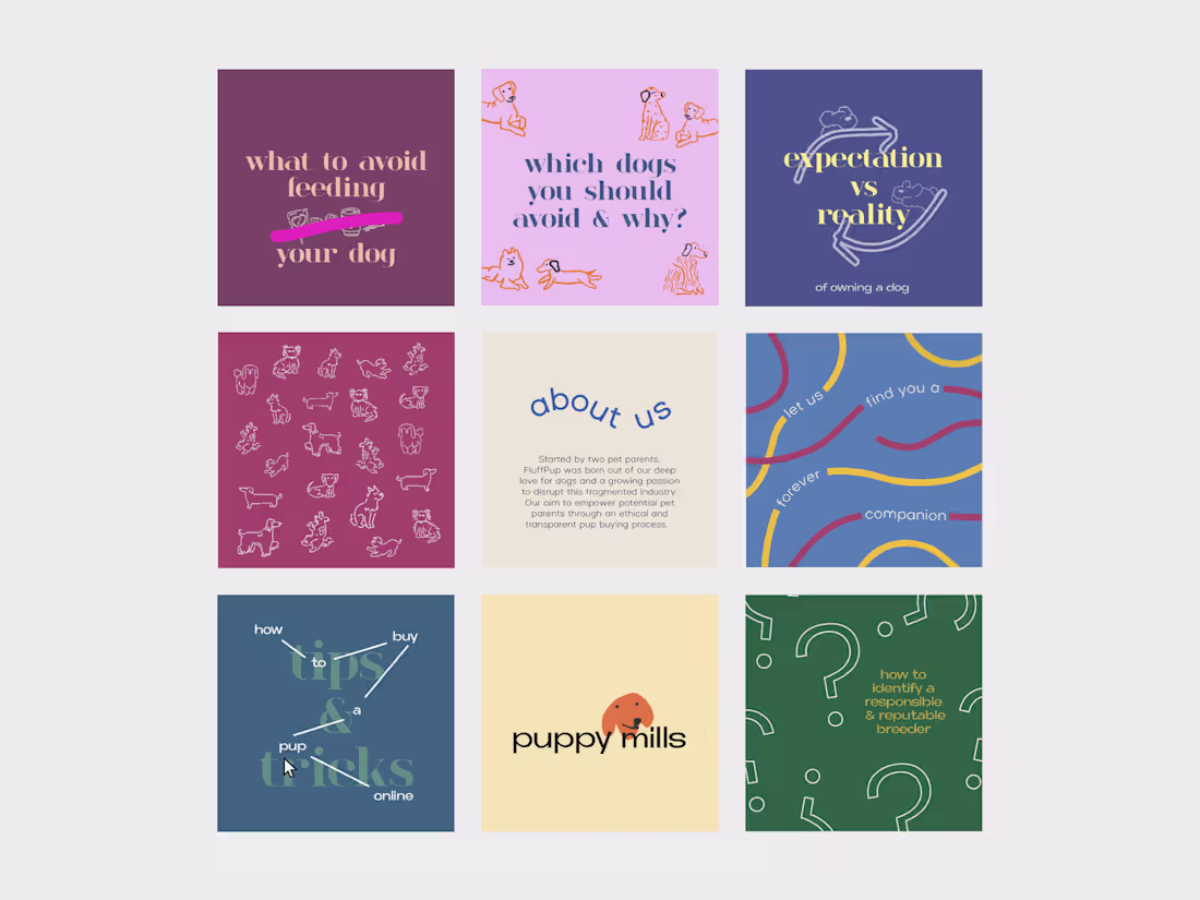 Cover image for The Curated Content Pack