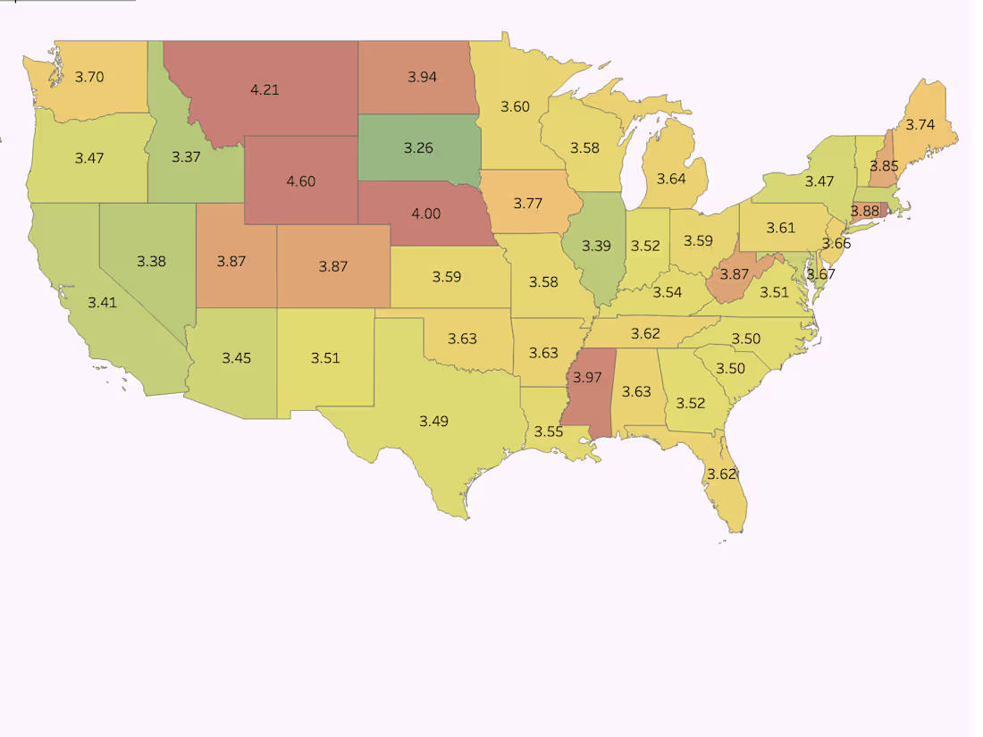 Cover image for Any Visualization Needs Catered Specifically For You 