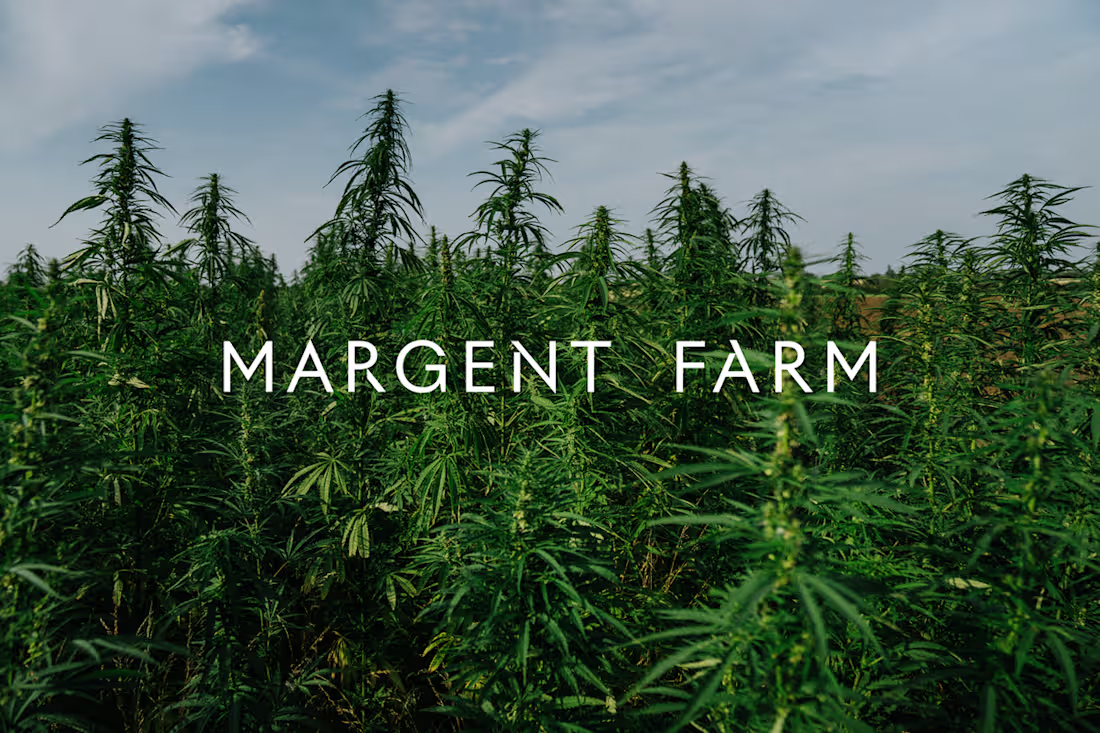 Cover image for Margent Farm — Rita Juarez