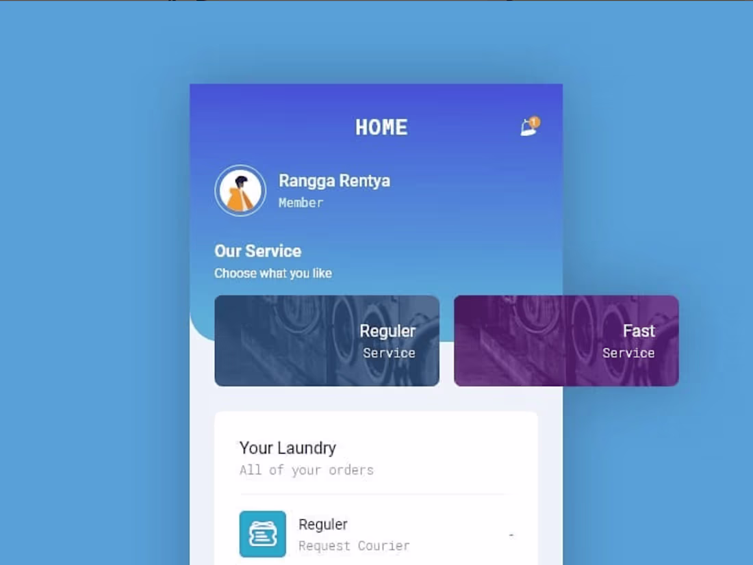 Cover image for The Laundry