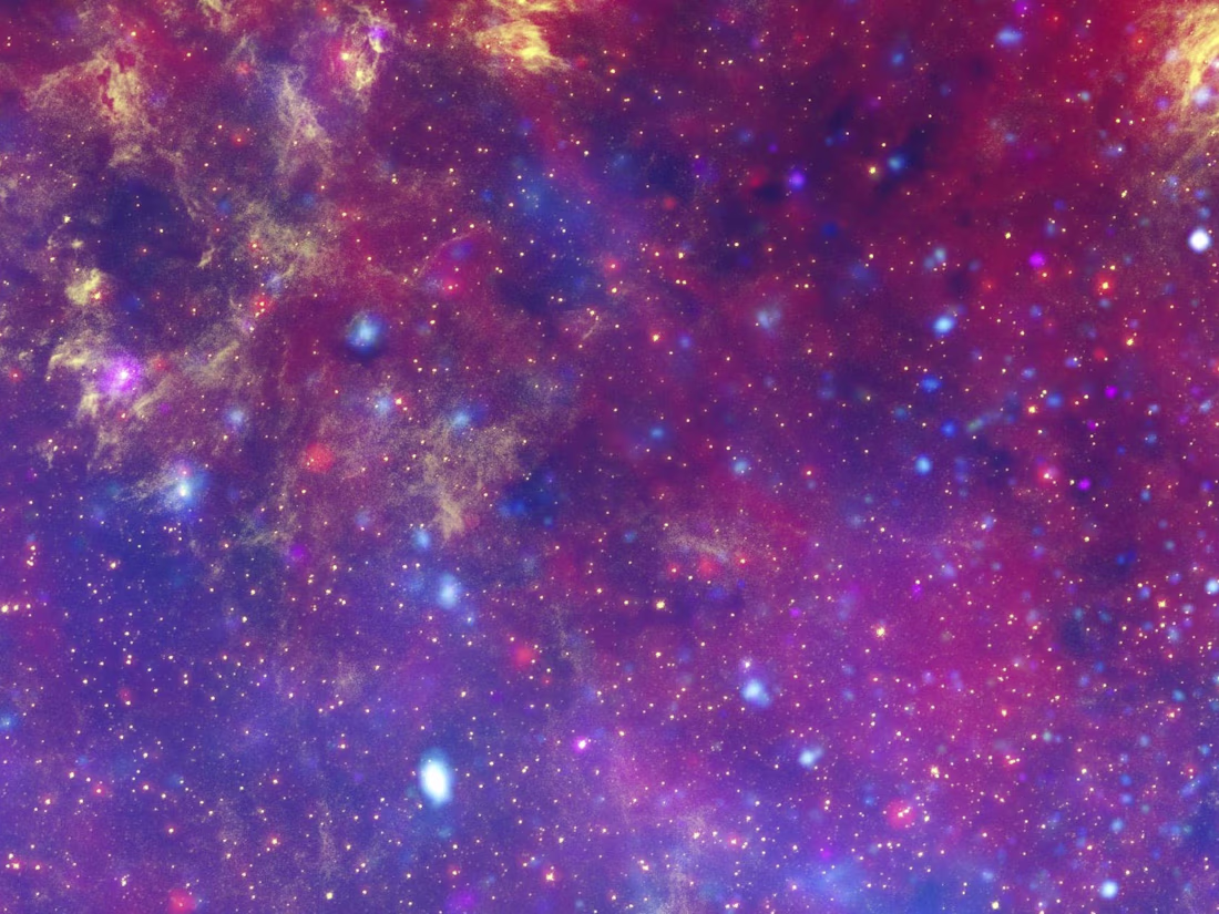 Cover image for Eleb2b