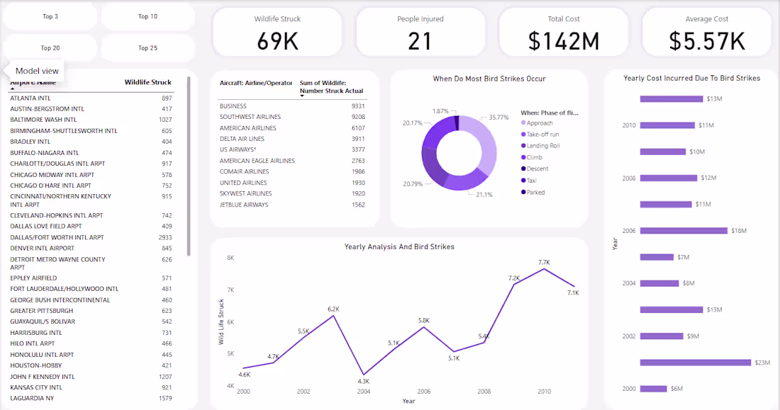 Cover image for Bird Strikes by Airplane