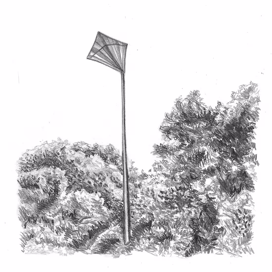 Cover image for Recording, Mixing, and Mastering for Loop Detail