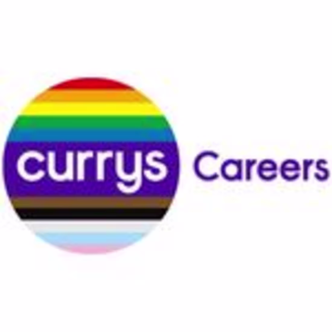 Cover image for Currys Careers