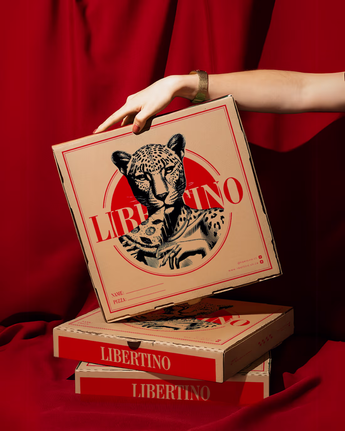 Cover image for Libertino