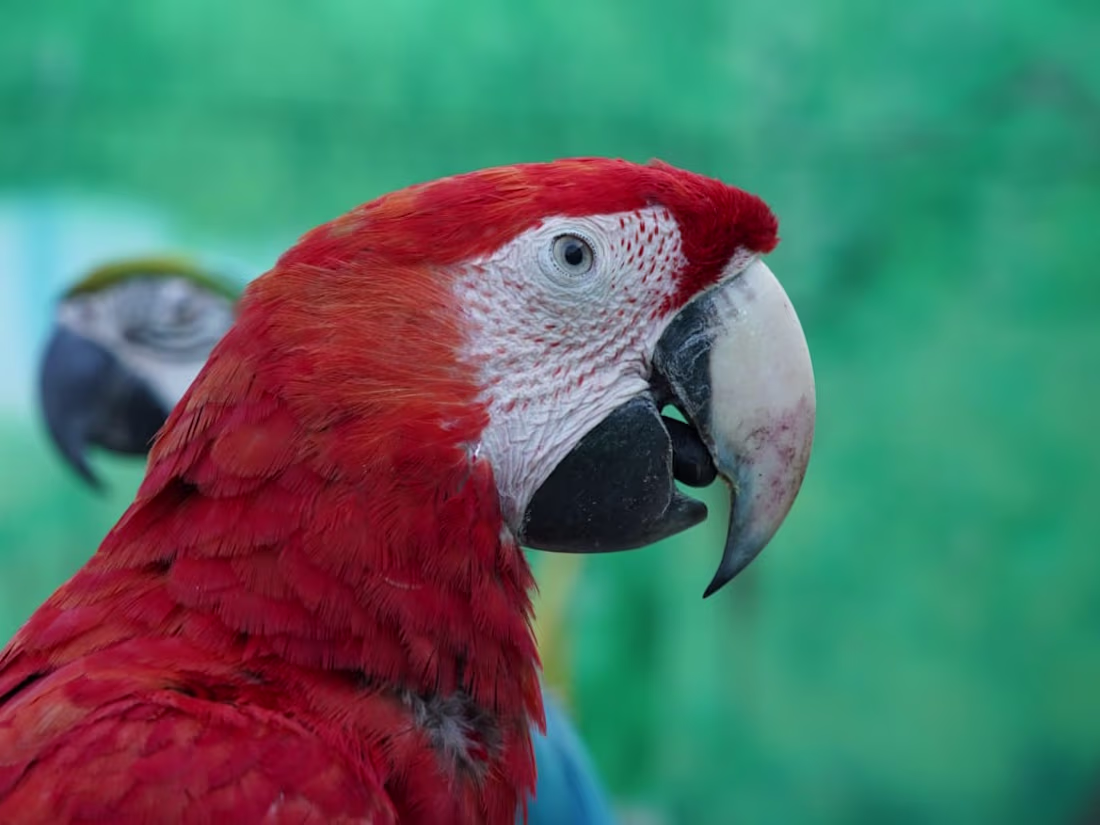 Cover image for Created Compelling copies for a Parenting Coach