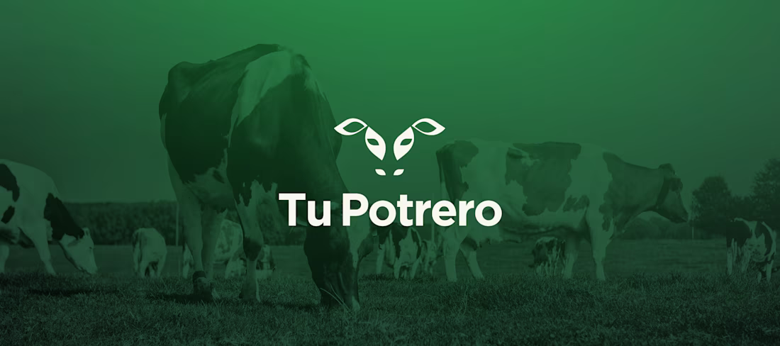 Cover image for Branding for an Agriculture Startup