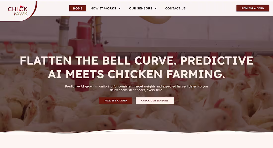 Cover image for ChickTawk - website copy