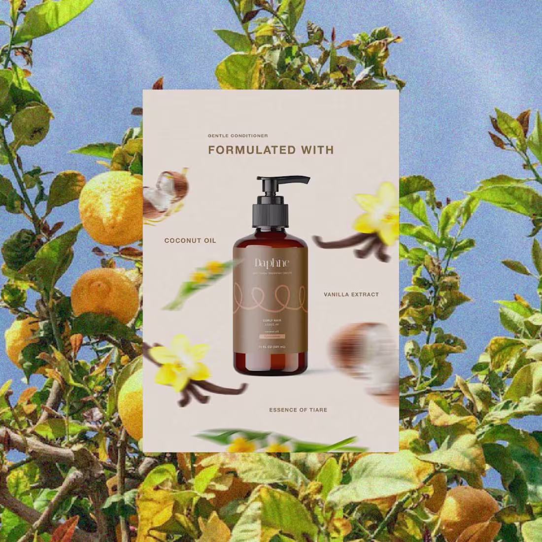 Cover image for Daphne 