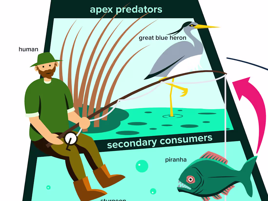 Cover image for Infographic Mastery