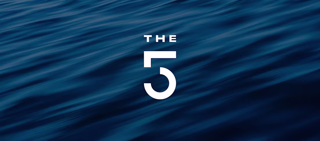 Cover image for The 5
