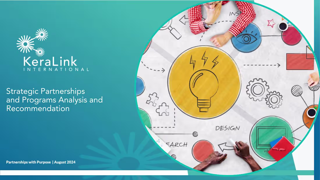 Cover image for Partnership Analysis and Strategy