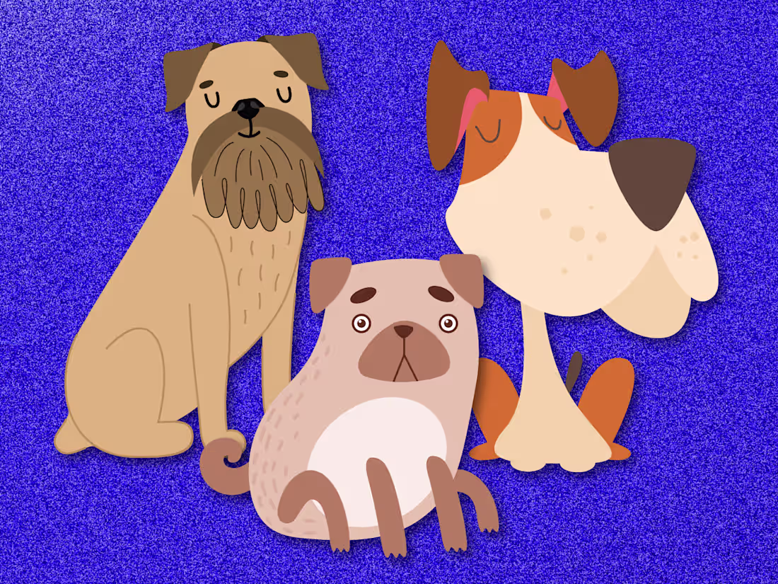 Cover image for A 20-second motion design project