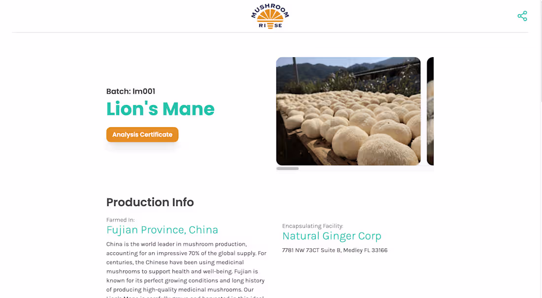 Cover image for Mushroom Rise | Web Development