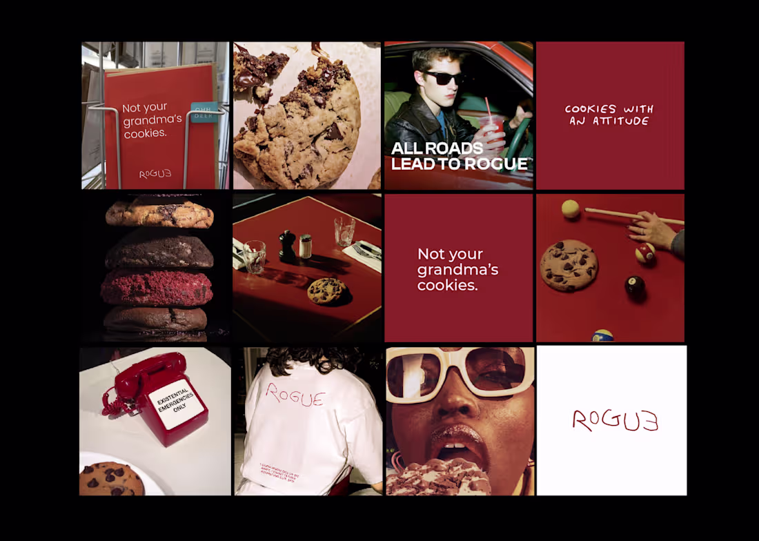 Cover image for Rogue