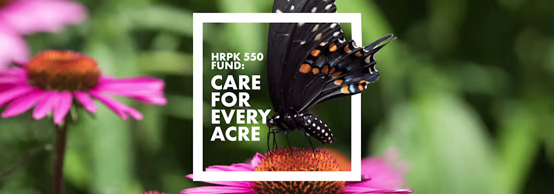 Cover image for Hudson River Park Friends: Brand Strategy & Design