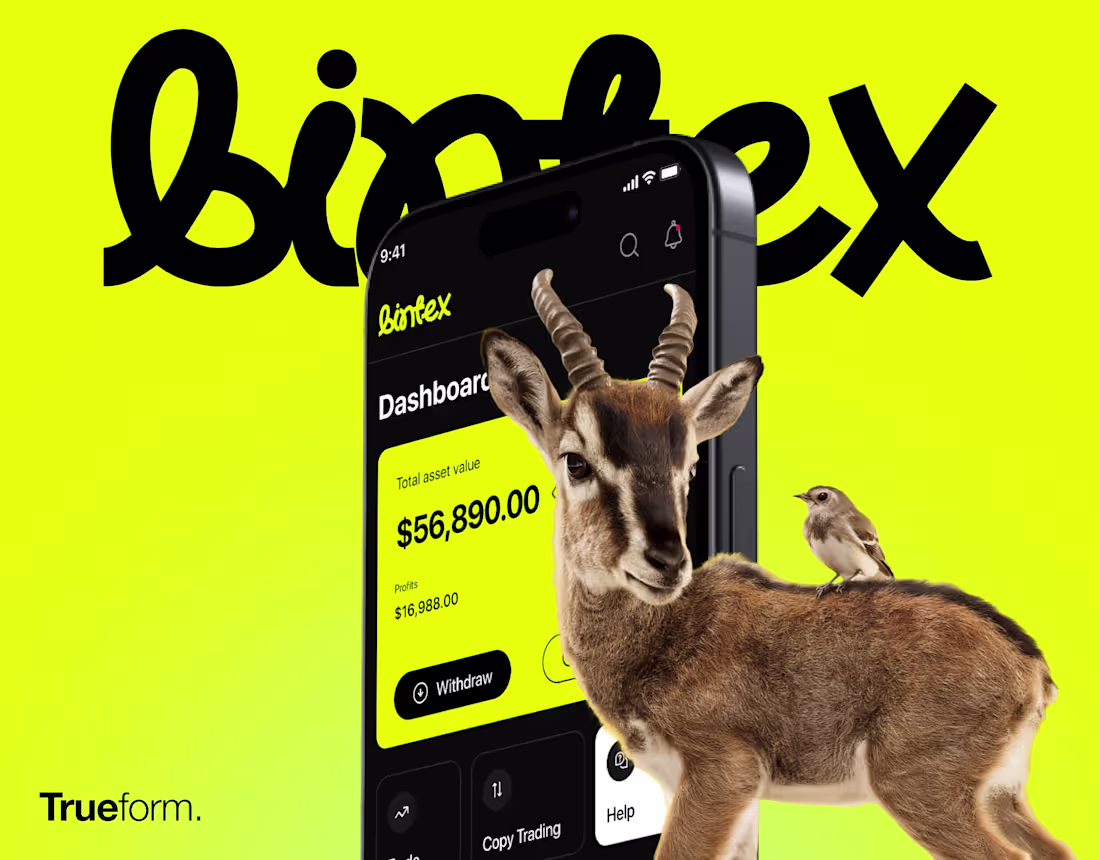 Cover image for Bintex