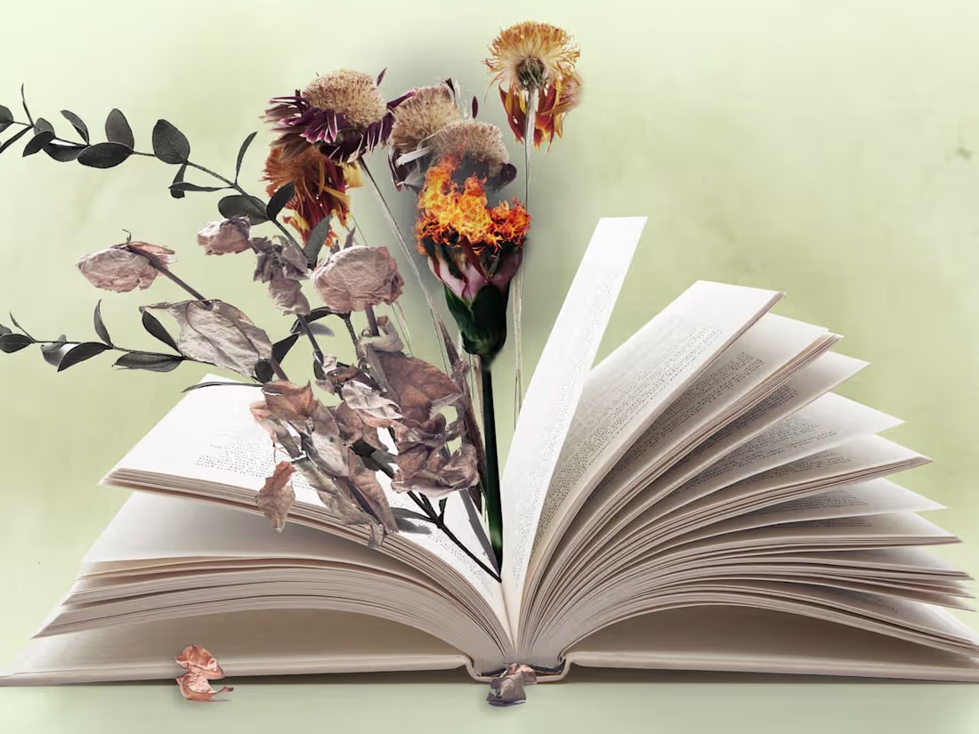 Cover image for Fiction writing projects