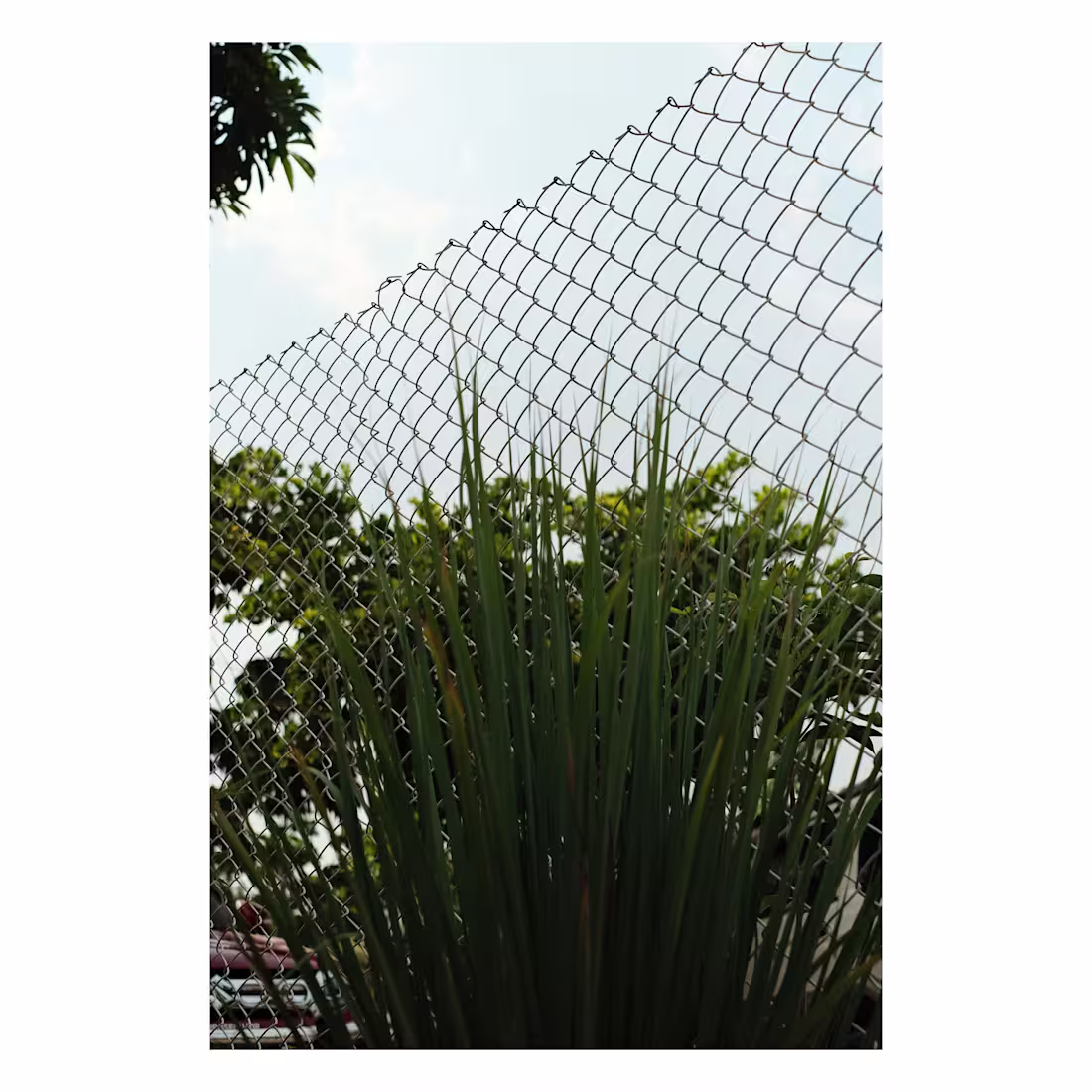 Cover image for Minimal. Asthetics :: Behance