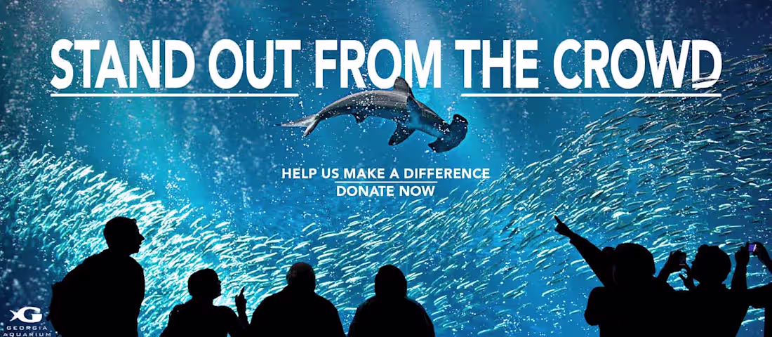 Cover image for Georgia Aquarium Marketing 