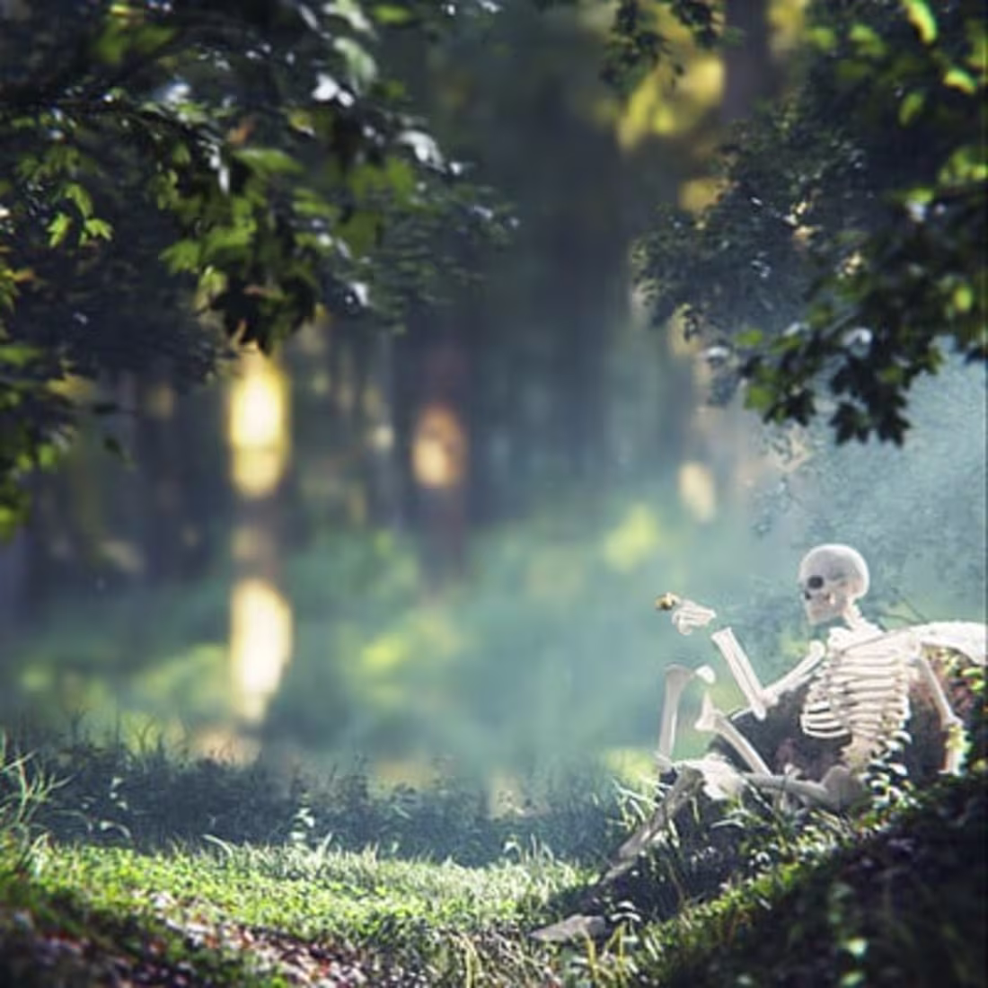 Cover image for Fantasy Journey