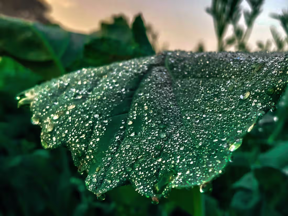 Cover image for 	“Transform Your Vision with Expert Video Editing