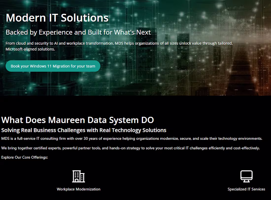 Cover image for The largest IT company in