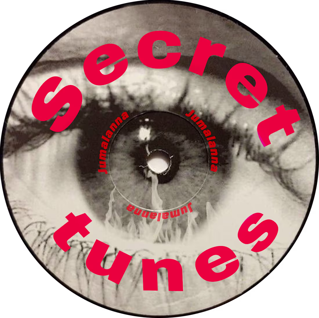Cover image for Web Design for Secret Tunes