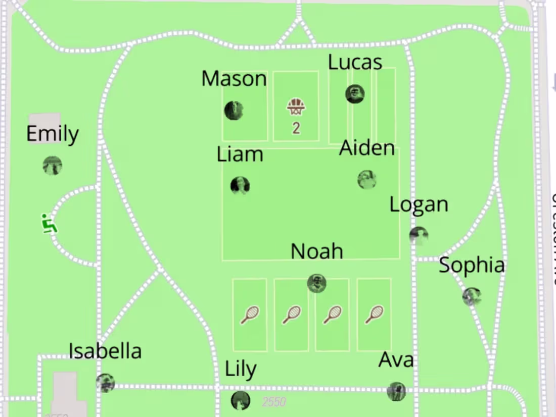 Cover image for St James Park