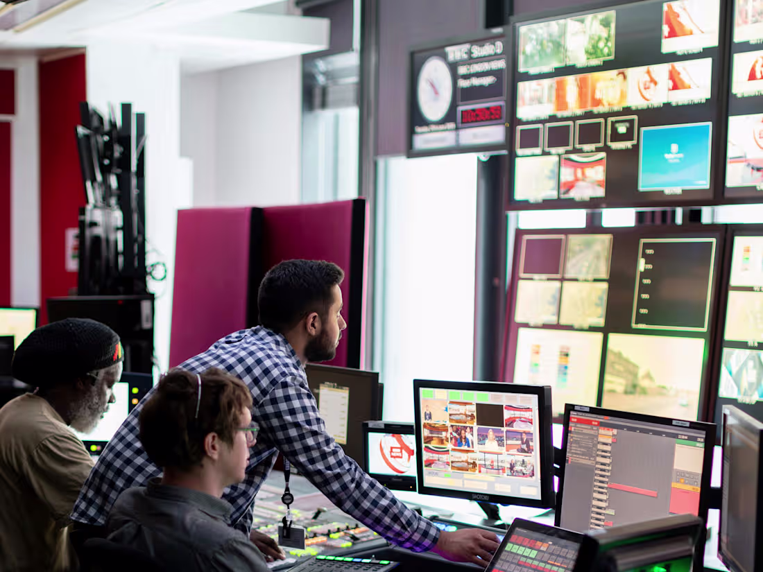 Cover image for What Does It Mean