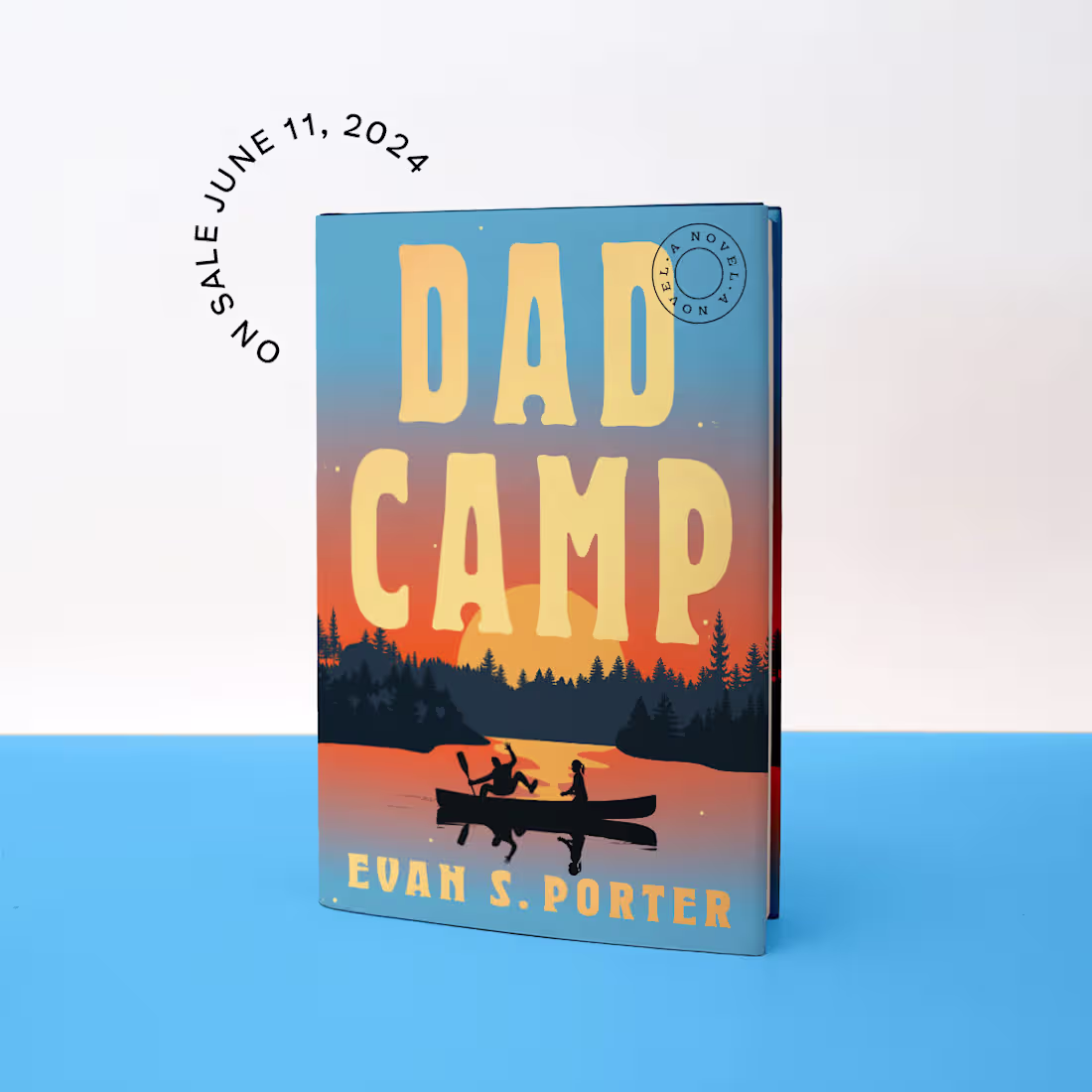 Cover image for Dad Camp: A Novel