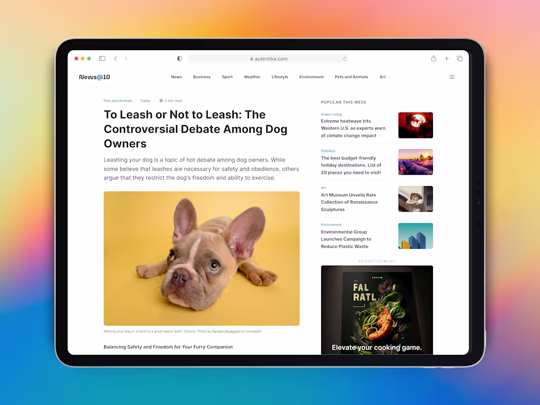 Cover image for AI design case study