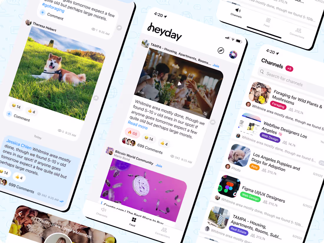 Cover image for Heyday