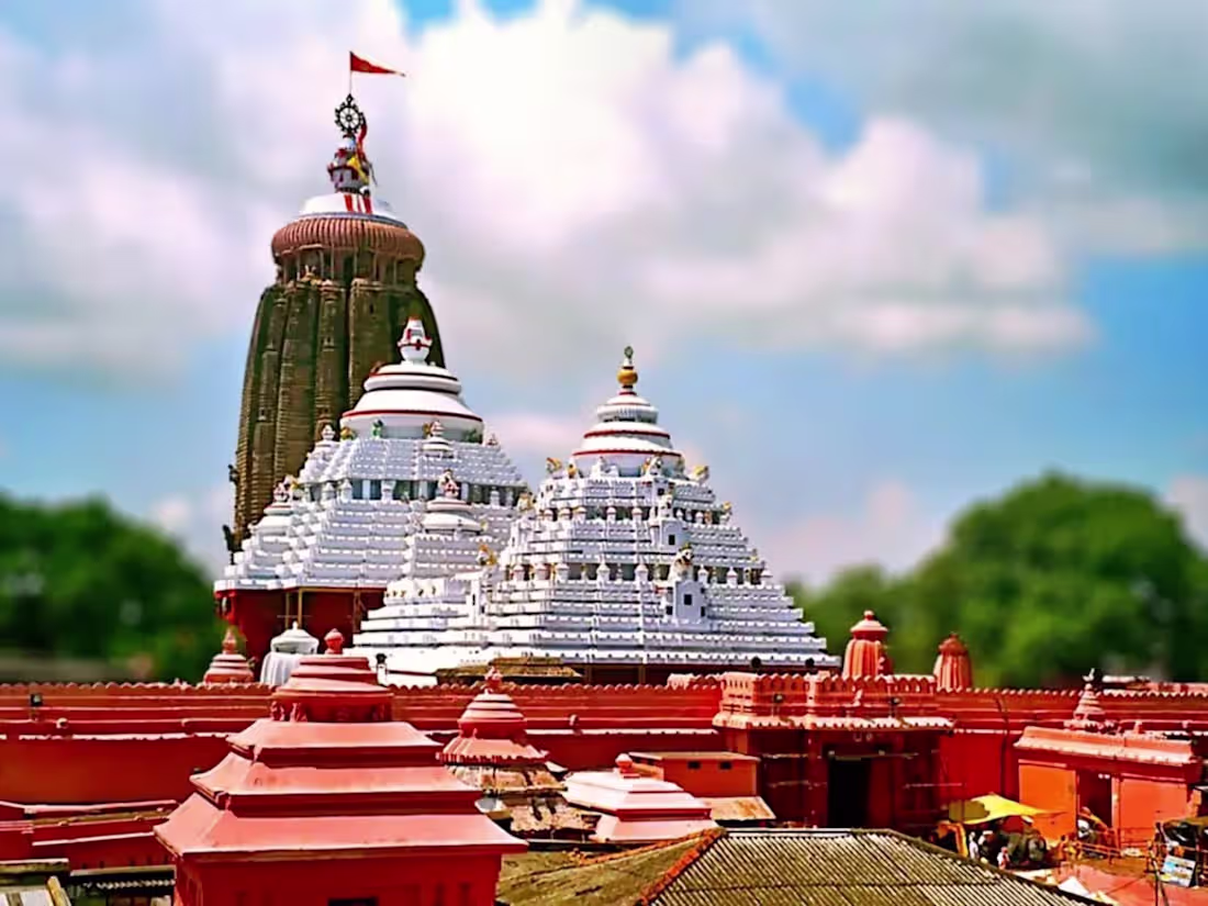 Cover image for Website on Odisha's Cultural Tapestry