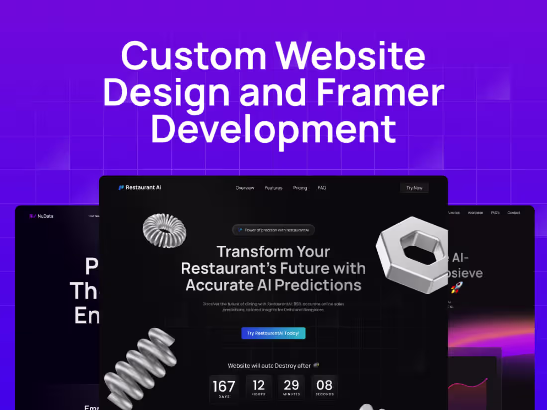 Cover image for Framer Website Development