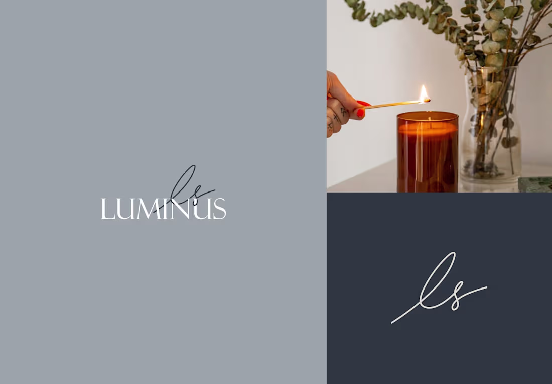 Cover image for Luminus Space Branding Guidelines