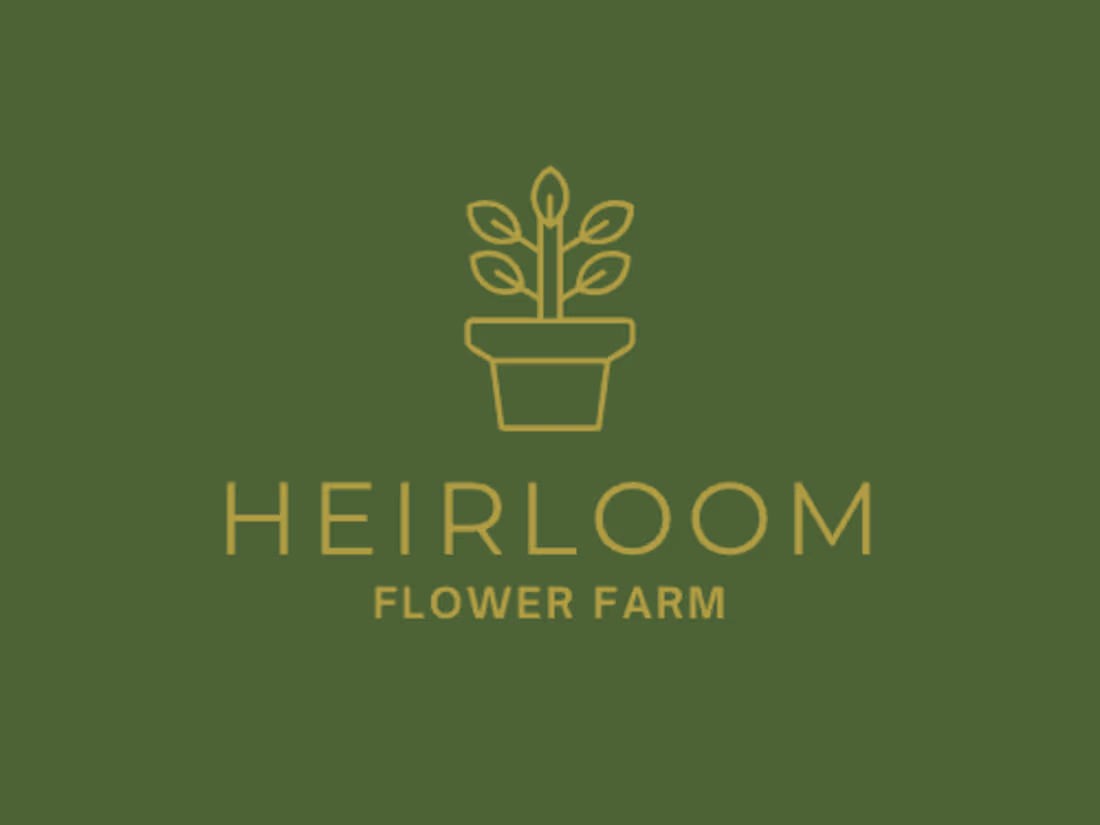 Cover image for Want to LOVE your LOGO?! Look no further.