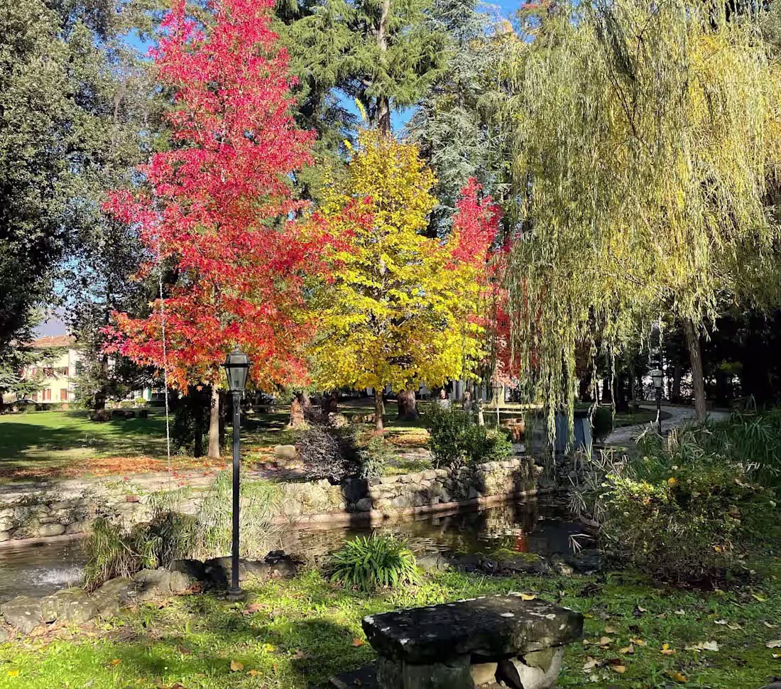 Cover image for Fantasy