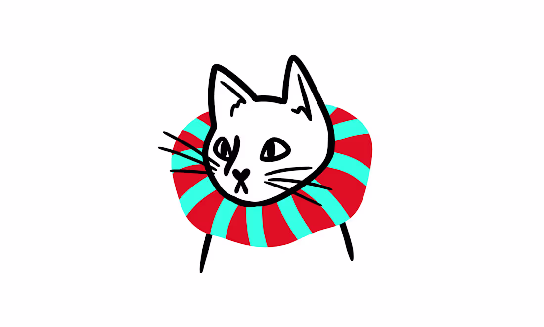 Cover image for Birds-Eye Cat Collars Logo