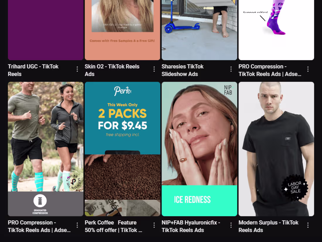 Cover image for TikTok Reels Motion Ads