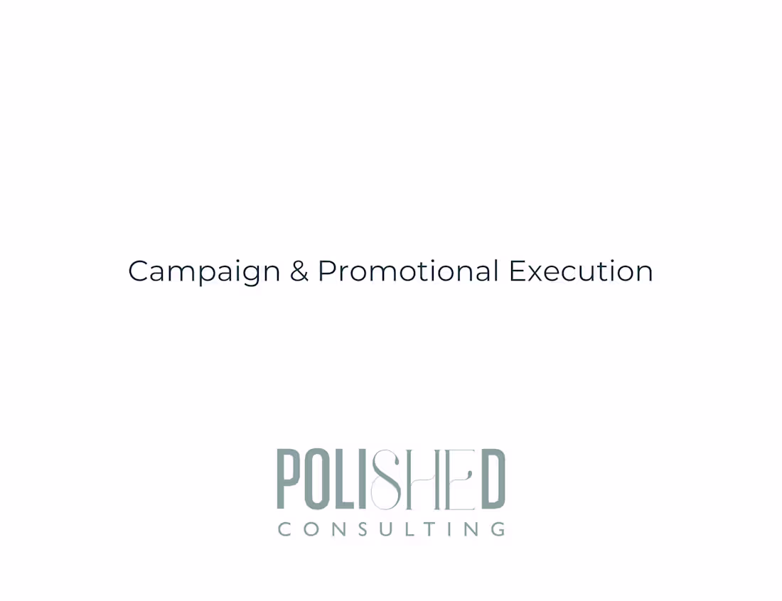 Cover image for CAMPAIGN AND PROMOTIONAL EXECUTION