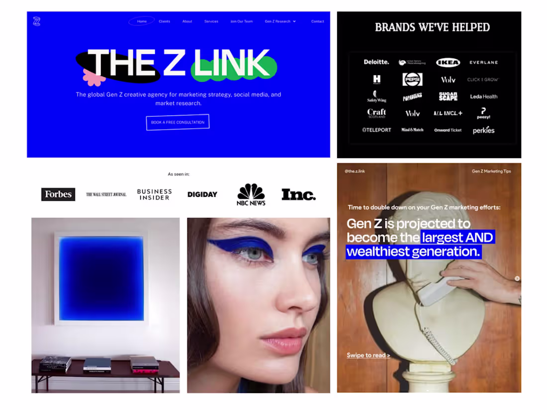 Cover image for THE Z LINK: Global Gen Z-focused creative advertising agency