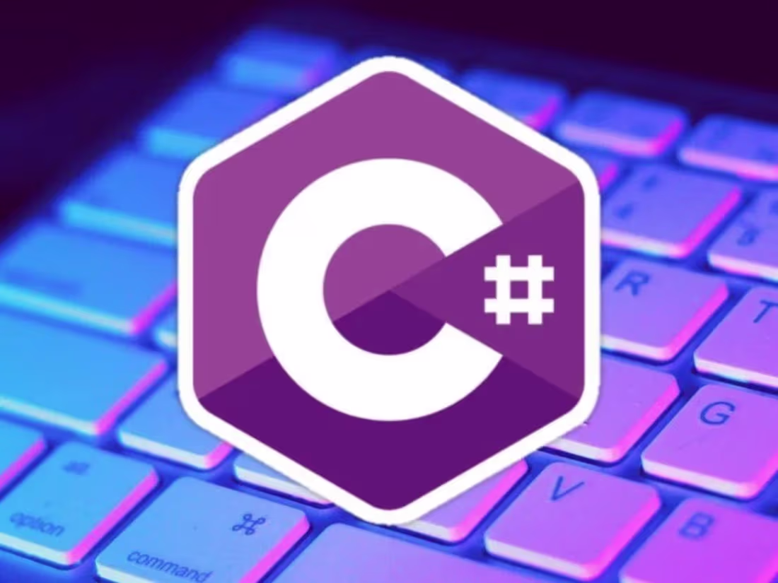 Cover image for Credit Card Transaction Processing Software