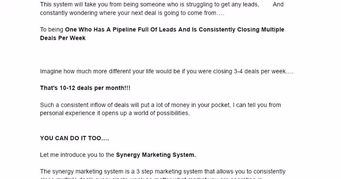 Cover image for Synergy Marketing System for Real Estate Investors