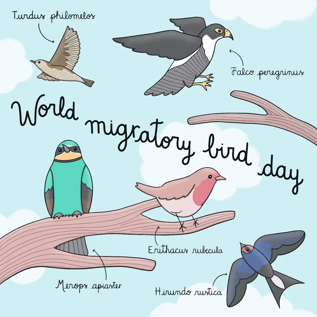 Cover image for World migratory day - Social media illu for UNDP